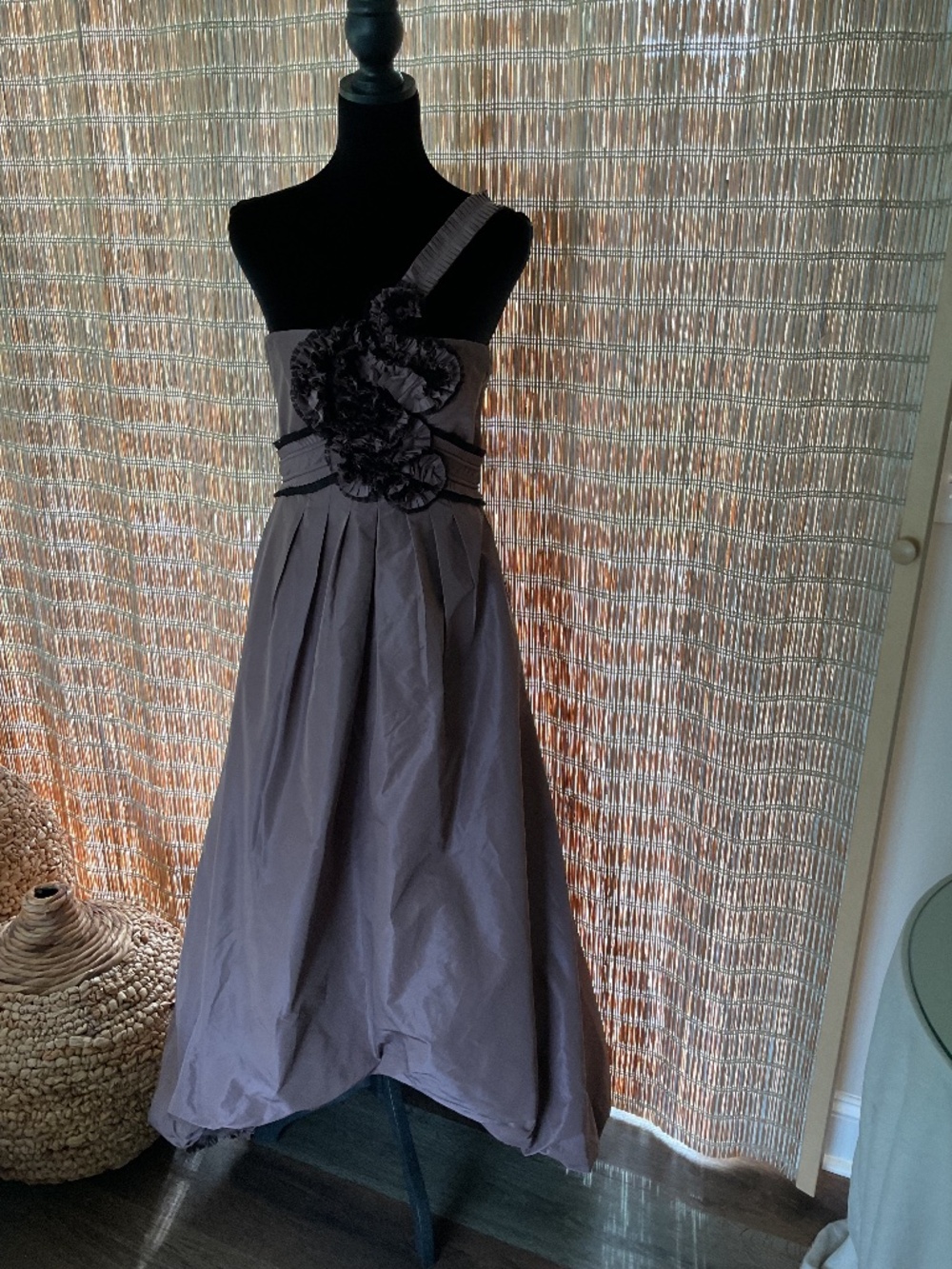 BCBGMaxazria NWT Ladies One shoulder gown.  Size 4